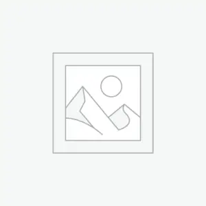 عنصر نائب Placeholder